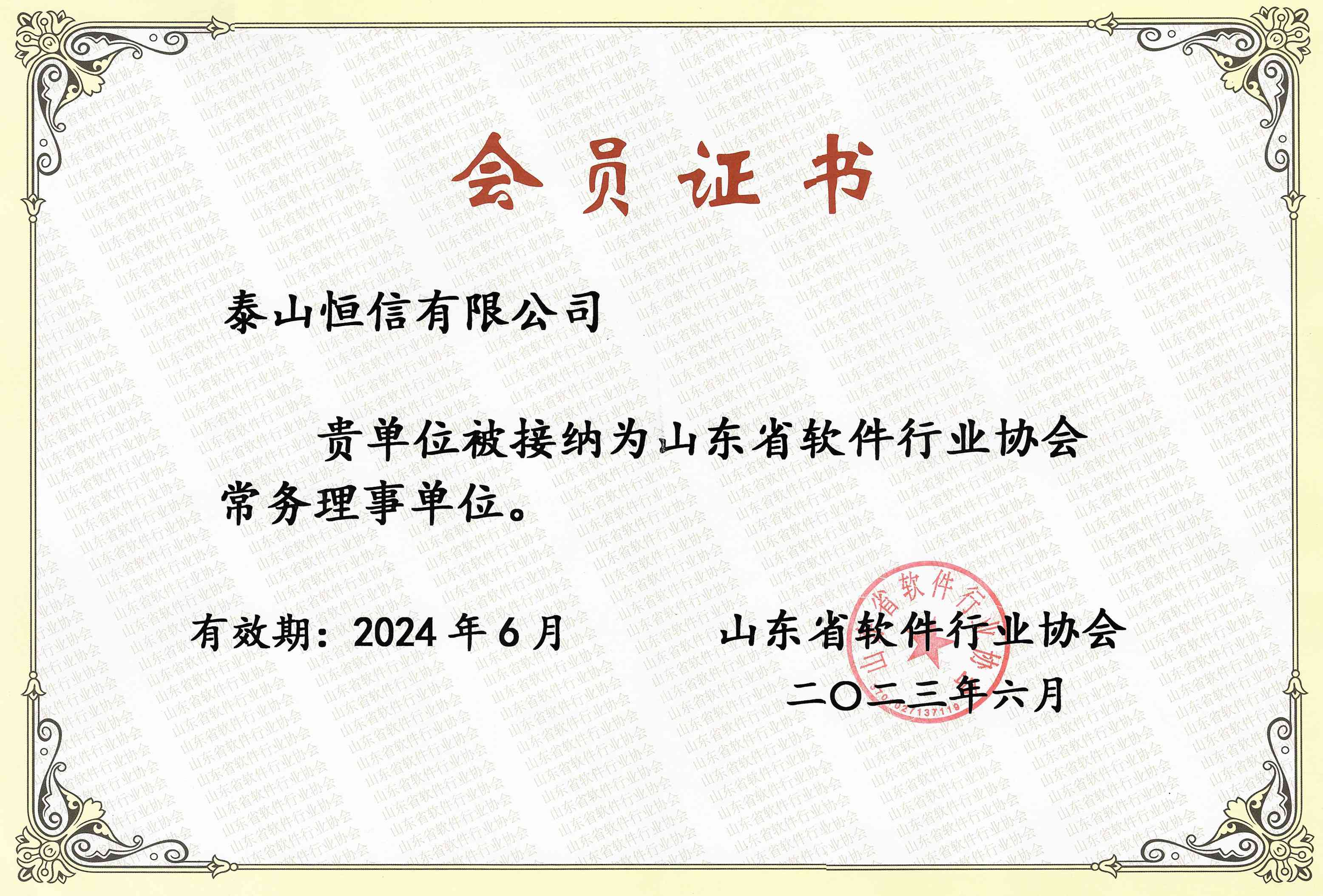 山东省软件行业协会常务理事单位